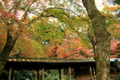 永勝寺　２