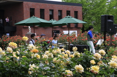 　春のﾊﾞﾗｺﾝｻｰﾄ