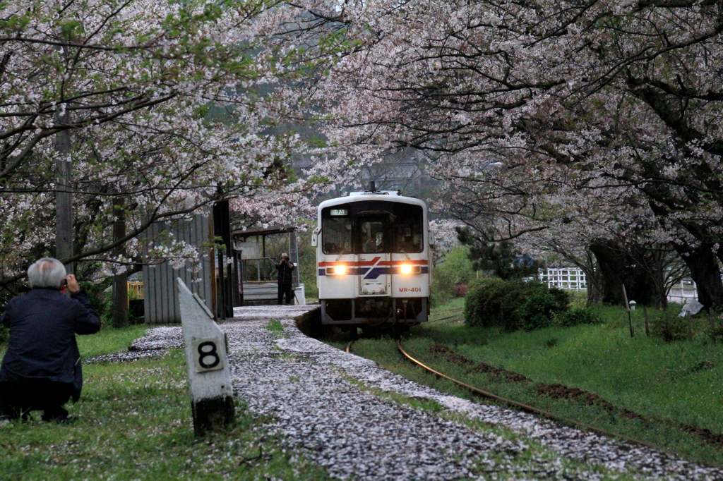 さくらの駅　２