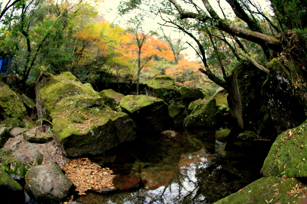 渓谷の映り込み