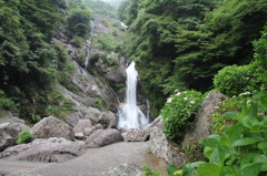 IMG_0200　見返りの滝　３