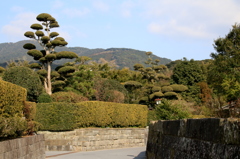 知覧武家屋敷庭園通り