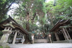 IMG_0403　高千穂神社