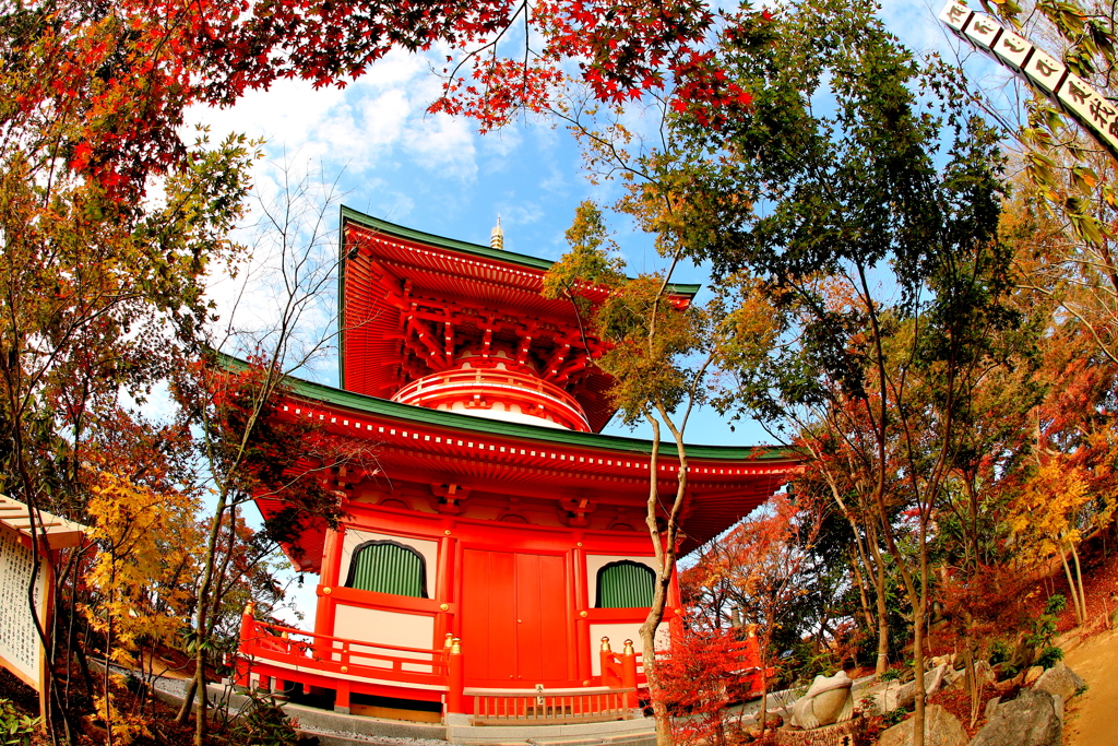  かえる寺　３