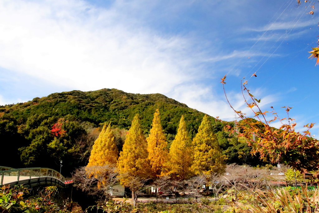 風景
