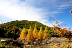風景