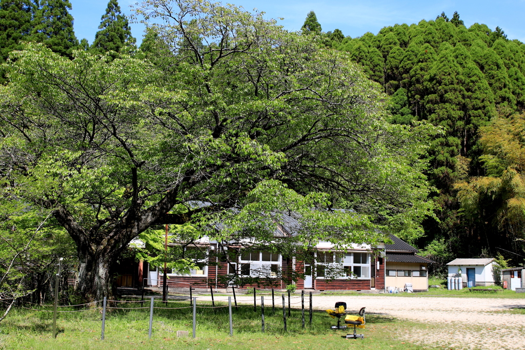 久保山分校
