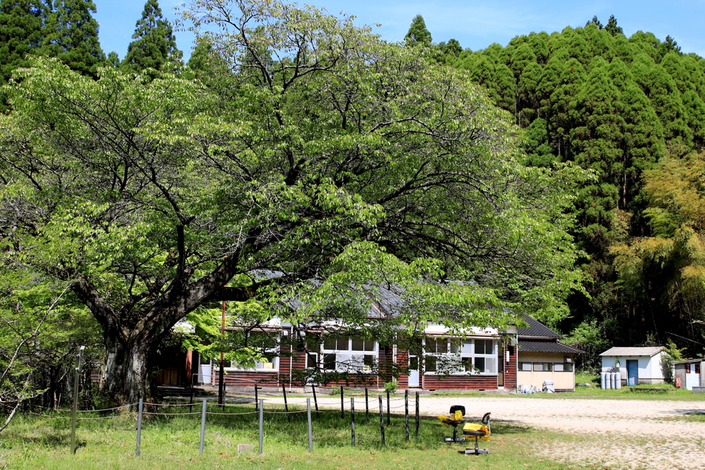 久保山分校