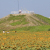 　柳川ひまわり園　７月31日