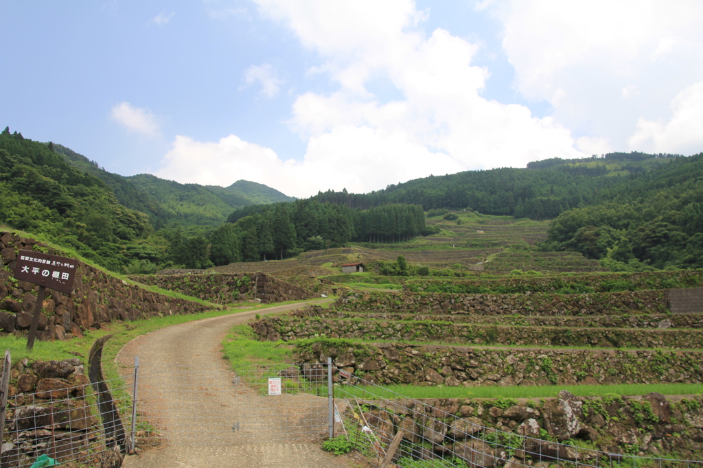IMG_0716　蕨野棚田　２