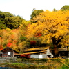 風景　矢部村