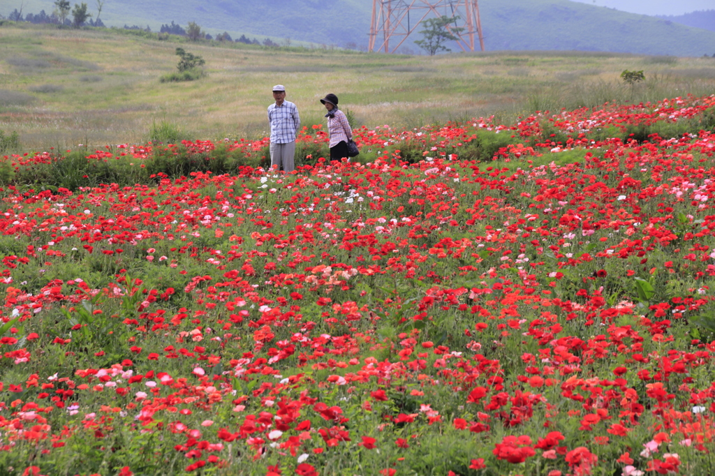 _MG_0020 塾年夫婦
