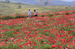 _MG_0020 塾年夫婦