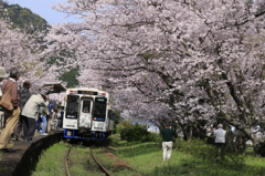 　さくらの駅（浦ノ崎）