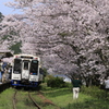 　さくらの駅（浦ノ崎）