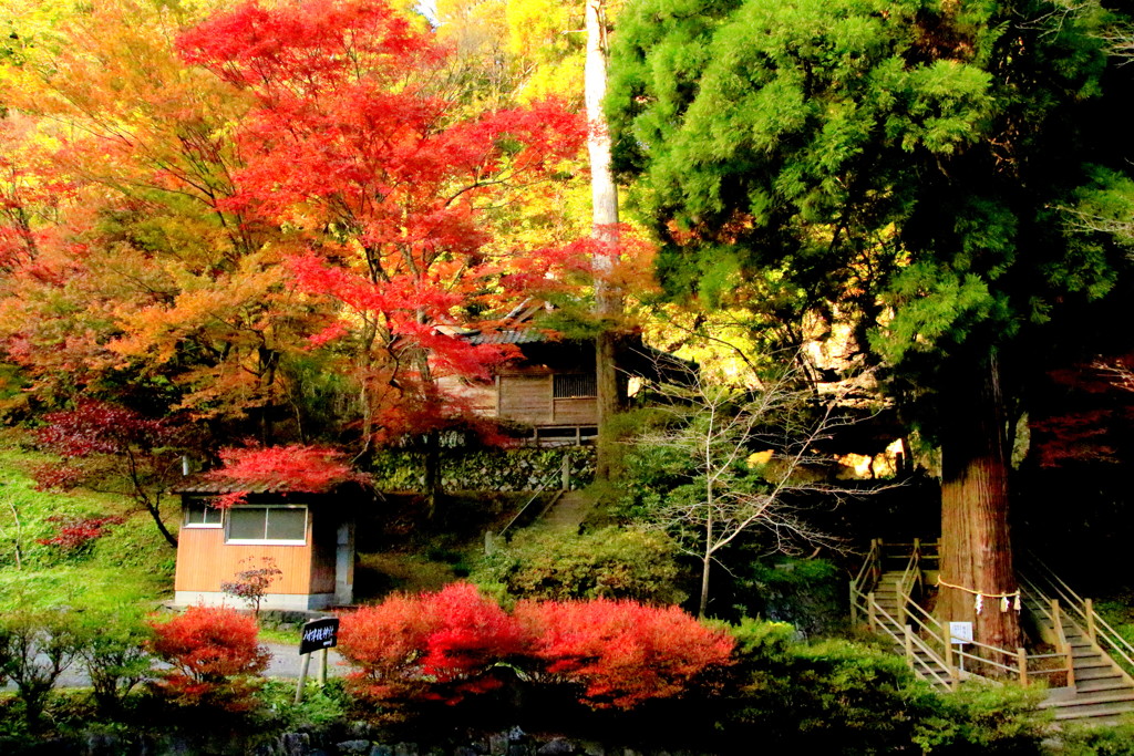 八女津姫神社 By ﾄﾚｰﾅｰtajima Id 写真共有サイト Photohito