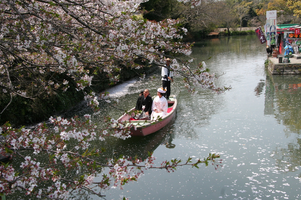 柳川川下り花嫁_3596 (19)