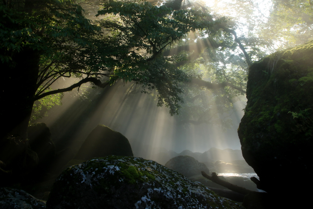  光芒　菊池渓谷