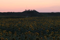 夕暮れ