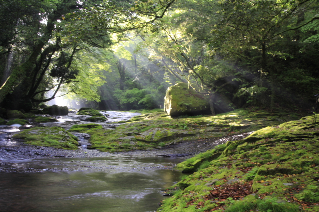 _MG_0080　菊池渓谷　光芒　Ⅱ