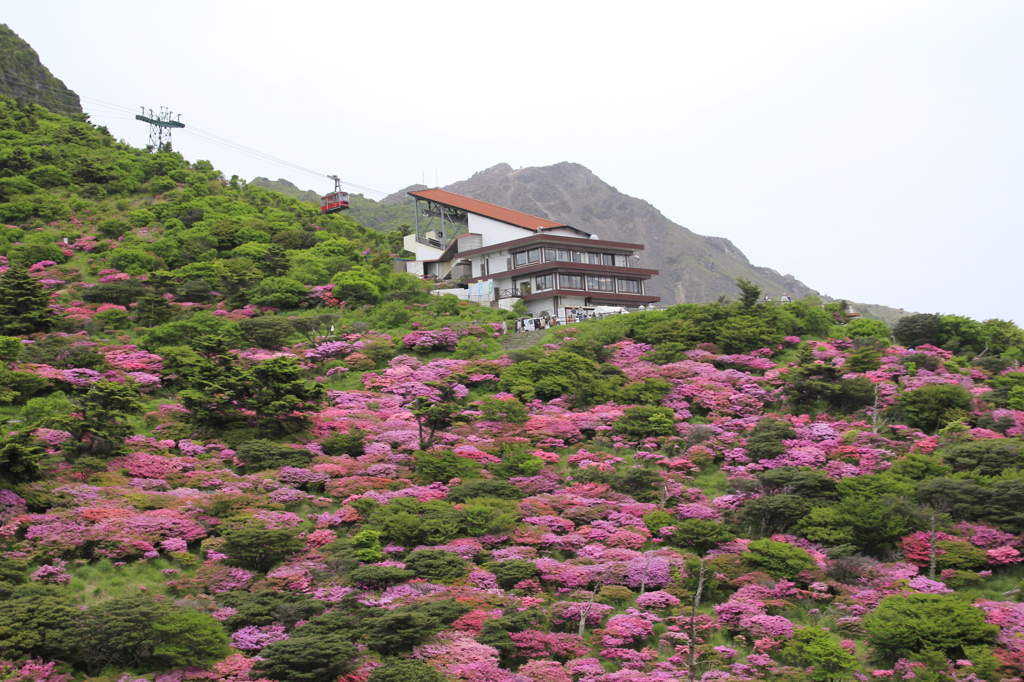 _MG_0079　仁田峠　1
