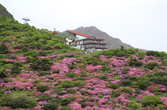 _MG_0079　仁田峠　1