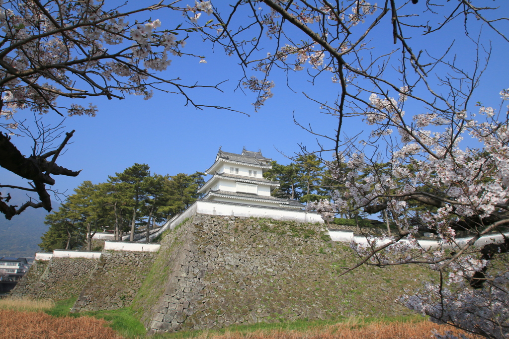  春の島原城　１