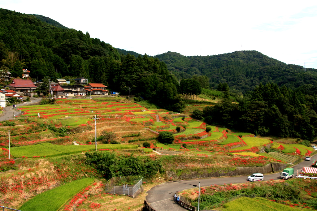 江里山の棚田　２