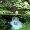 　山吹水源　Ⅳ