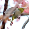  飛び立ち　３
