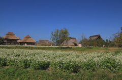 吉野ヶ里歴史公園