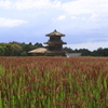 _国史跡　鞠智城　１