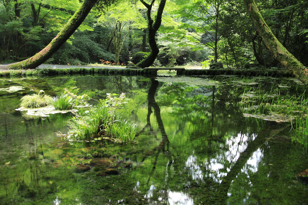 山吹水源