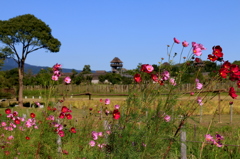 吉野ヶ里歴史公園