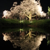　浅井の一本桜　６