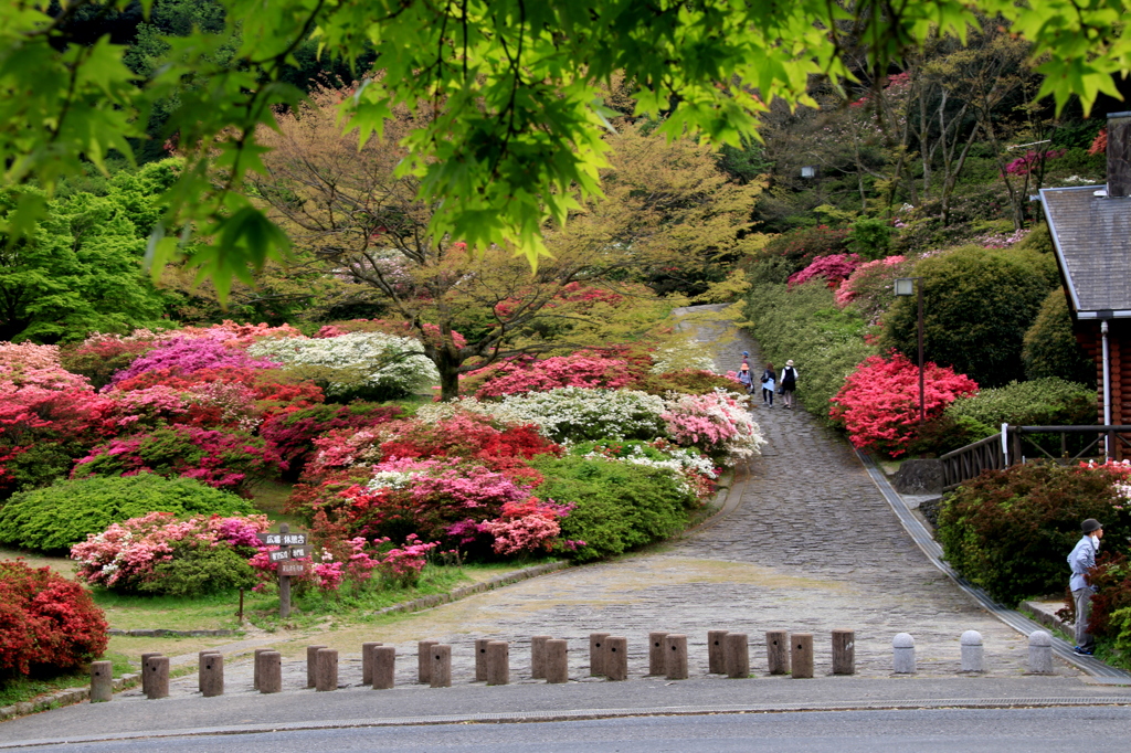 森林公園　１