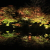 紅葉水辺ﾗｲﾄｱｯﾌﾟ