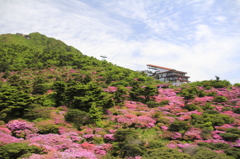 _MG_0392　仁田峠　Ⅳ