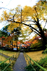 清水寺本坊庭園