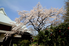 宝珠寺　３