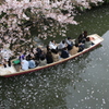 　桜の下川下り