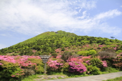 _MG_0479　仁田峠より　Ⅴ