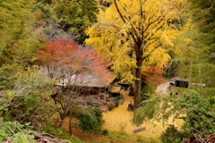 康平寺
