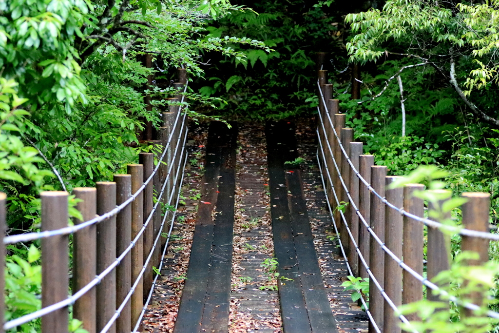 　吊り橋