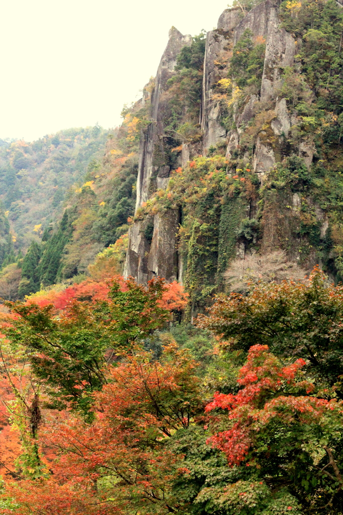 八景中腹より