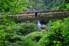 　吊り橋