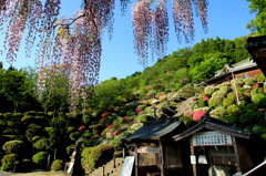 大津山神社ふじの下