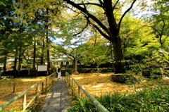 本坊庭薗　１
