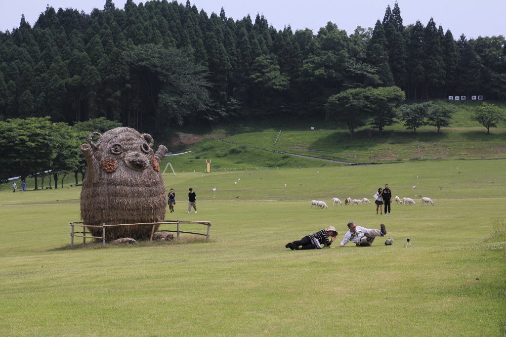 _MG_0026　ころんだ