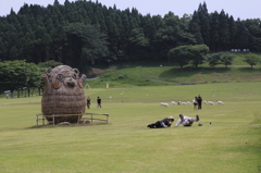 _MG_0026　ころんだ